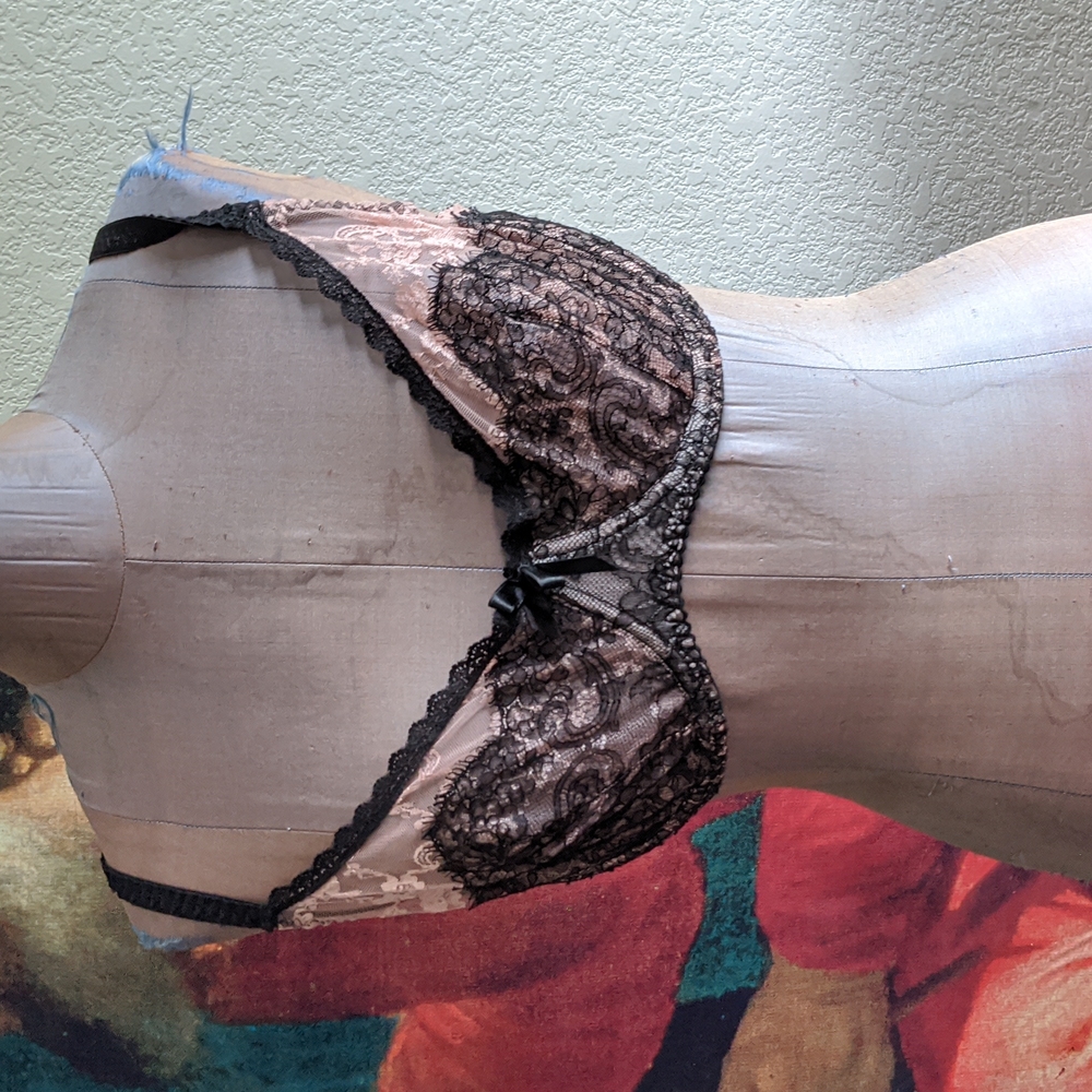 Agent Provocateur Francoise bra, black and pink lace, 36DD $ 36D